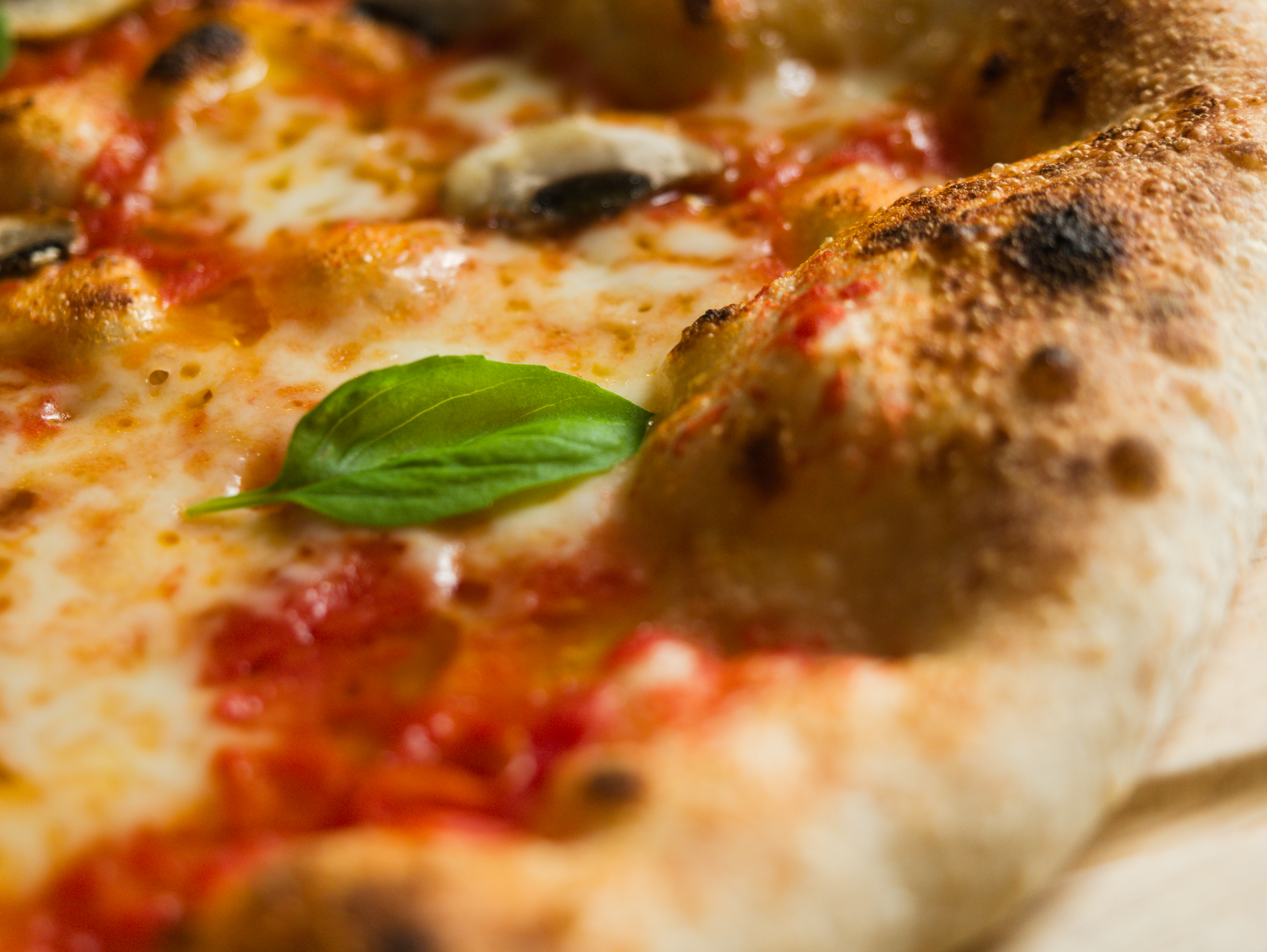 Ein frisches Basilikumblat liegt auf einer Pizza Margherita, nach neapolitanischer Art gebacken.