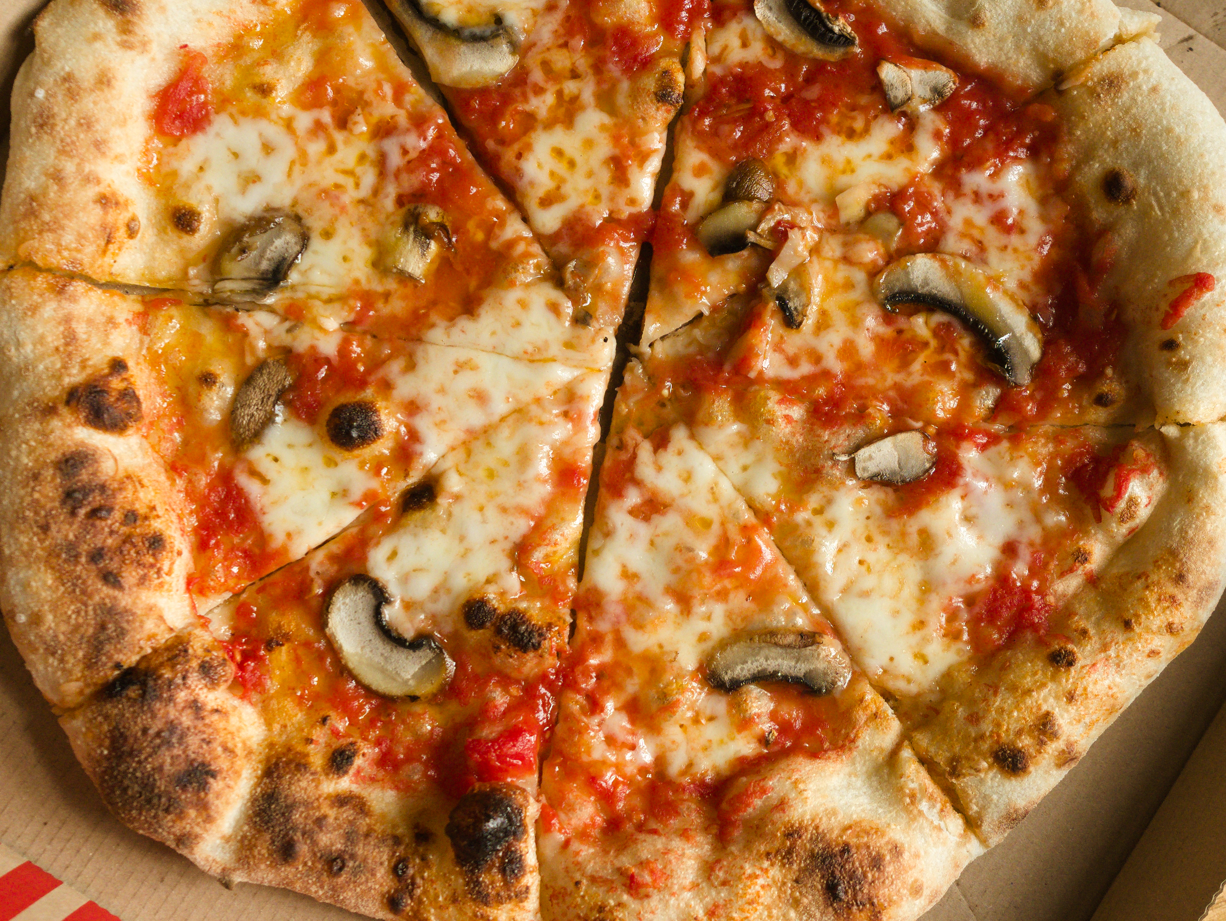 Eine geschnittene frische Pizza Funghi mit Champignins und Fior die Latte. Catering